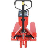 Pallet Truck, 48" L x 27.5" W, 5000 lbs. Cap. R.M.G. Prévention