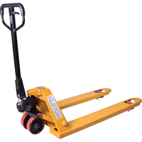 Transpalette manuel, Acier, 48" lo x 27" la, Capacit&eacute; 5500 lb R.M.G. Prévention