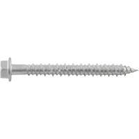 Vis de scellement Aggre-Gator, 1/4" x 1-1/4" lo, Acier inoxydable R.M.G. Prévention