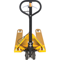 Brake Pallet Truck R.M.G. Prévention