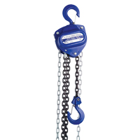 Chain Hoist, 20' Lift, 1000 lbs. (0.5 tons) Capacity, Load Chain Grade 80 Chain R.M.G. Prévention