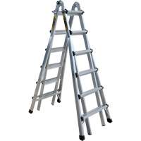 Telescoping Multi-Position Ladder, Aluminum, 300 lbs. R.M.G. Prévention
