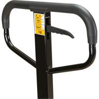 Transpalette manuel, Acier, 48" lo x 27" la, Capacit&eacute; 5500 lb R.M.G. Prévention