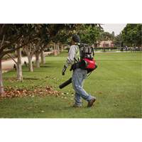 M18 FUEL Dual Battery Backpack Blower Kit, 18 V, 155 MPH Output, Battery Powered R.M.G. Prévention