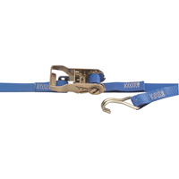 Heavy-Duty Utility Straps, Wire Hook, 1" W x 13' L, 167 lbs. (76 kg) Working Load Limit R.M.G. Prévention