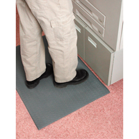 Anti-Fatigue Matting/Flooring