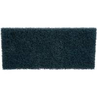 Scrubber Pad, 10" L x 4-5/8" W R.M.G. Prévention