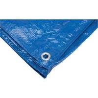 B&acirc;che, Standard, Bleu, 7' x 5' x 4 mils R.M.G. Prévention