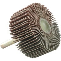 Disque &agrave; lamelles mont&eacute;, Grain 60, 2" x 1" x 1/4" R.M.G. Prévention