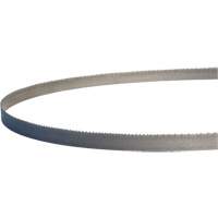 Lames de scie &agrave; ruban portatives Master-Band, Bim&eacute;tal, 18 Dents par pouce, 44-7/8" lo x 1/2" la R.M.G. Prévention