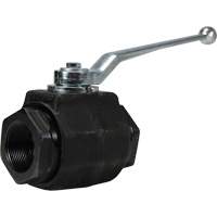 High Pressure Full-Bore Ball Valve, Steel, Manual, FNPT x FNPT R.M.G. Prévention