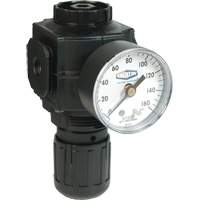 R&eacute;gulateur compact de s&eacute;rie 1, 1/2" NPT, PSI max. de 150 psi, Standard R.M.G. Prévention