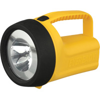 Lanterne flottante Readyflex de EverReady, DEL, 80 Lumens, Piles D R.M.G. Prévention