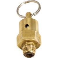 Viton&reg; Pressure Relief Valve R.M.G. Prévention
