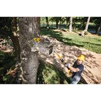 MAX* XR Cordless Polesaw R.M.G. Prévention