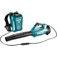 LXT Connector Turbo Blower (Tool Only), 18 V, 157 MPH Output, Battery Powered R.M.G. Prévention