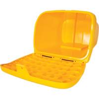 Salt & Sand Storage Bins, With Hasp, 21" x 27" x 26", 4.24 cu. ft., Yellow R.M.G. Prévention