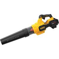 Max* FlexVolt&reg; Brushless Cordless Handheld Axial Blower, 60 V, 125 MPH Output, Battery Powered R.M.G. Prévention