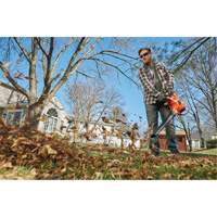 3-in-1 VacPack Leaf Blower/Vacuum/Mulcher, 250 MPH Output, Electric R.M.G. Prévention