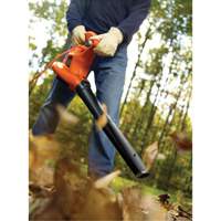 High Performance Leaf Blower/Vacuum/Mulcher, 250 MPH Output, Electric R.M.G. Prévention