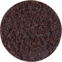 Standard Abrasives Surface Conditioning Discs, 2" Dia., Coarse Grit R.M.G. Prévention