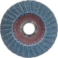 Flap Discs