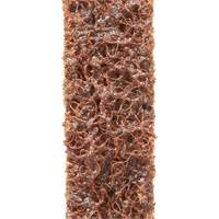 Scotch-Brite Sanding Belt, 3" W x 132" L, Aluminum Oxide, Coarse Grit R.M.G. Prévention