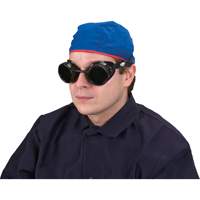 Cup Goggles, 5.0 Lens, Anti-Scratch, Closed Vent R.M.G. Prévention