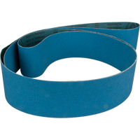 Courroie abrasive bleu R.M.G. Prévention