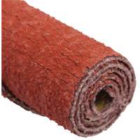 Standard Abrasives Straight Cartridge Roll R.M.G. Prévention