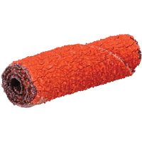 Rouleau de cartouche Blaze R920, 60 Grain, 3/8" dia., C&eacute;ramique d'alumine, 1-1/2" lo, 1/8" Dimension de l'arbre R.M.G. Prévention