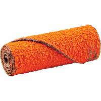 Cartouche de ruban abrasif en rouleau, 60 Grain, 1/2" dia., C&eacute;ramique d'alumine, 1-1/2" lo, 1/8" Dimension de l'arbre R.M.G. Prévention