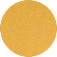 Yellow Hook & Loop Sanding Disc, 5" Dia., P220 Grit, Aluminum Oxide R.M.G. Prévention