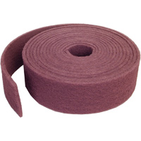 Clean & Strip Rolls - Bear-Tex Fast Cut Rolls, Very Fine, 4" W x 30' L R.M.G. Prévention
