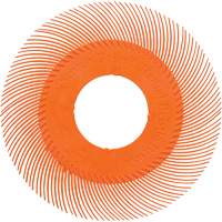 Brosse radiale en soies de pr&eacute;cision type C PN-RB sans adaptateur Scotch-Brite , C&eacute;ramique, Grain 80+, 6" dia. R.M.G. Prévention