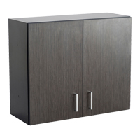 Armoire modulaire murale, 30" h x 36" la x 15" p, 1 tablettes, M&eacute;lamine, Nuit d'Asie/noir R.M.G. Prévention