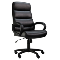 Activ Series A-601 Office Chair, Polyurethane, Black, 275 lbs. Capacity R.M.G. Prévention