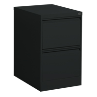 Vertical Filing Cabinet, Steel, 2 Drawers, 18-1/7" W x 25" D x 29" H, Black R.M.G. Prévention