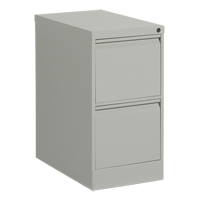 Vertical Filing Cabinet, Steel, 2 Drawers, 15-1/7" W x 25" D x 29" H, Grey R.M.G. Prévention