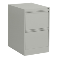 Vertical Filing Cabinet, Steel, 2 Drawers, 18-1/7" W x 25" D x 29" H, Grey R.M.G. Prévention