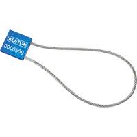 Scell&eacute;s de haute s&eacute;curit&eacute;, 12", M&eacute;tal, Scell&eacute; &agrave; c&acirc;ble R.M.G. Prévention