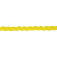 Corde jaune tress&eacute;e 1/4", Polypropyl&egrave;ne, 1300' R.M.G. Prévention