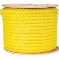 Corde jaune tress&eacute;e 5/8", Polypropyl&egrave;ne, 200' R.M.G. Prévention