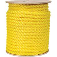 Corde jaune tress&eacute;e, Polypropyl&egrave;ne, 300' R.M.G. Prévention