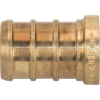 Capuchon de tuyau sans plomb, Tuyau, 1/2" dia., Laiton R.M.G. Prévention