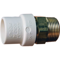 Adaptateur de tuyau filet&eacute;, Noeud x MPT, 1" dia., Laiton/PVC-C R.M.G. Prévention