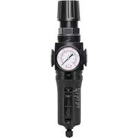 Manual Drain Filter/Regulator with Metal Bowl Modulair 300, 1/4" NPT, 250 PSI, 5.1 fl. oz. Capacity R.M.G. Prévention