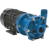 Magnetic Drive Pump with Carbon Bushing R.M.G. Prévention