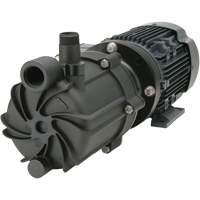 Self-Priming Magnetic Drive Pump with Carbon Bushing R.M.G. Prévention