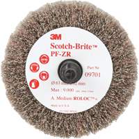Scotch-Brite Roloc Cut and Polish Flap Brush, PF-ZR, Aluminum Oxide, Medium Grit, 2-1/2" x 1-1/4" R.M.G. Prévention